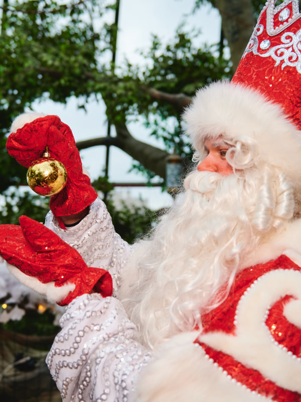 Сказочные каникулы в Дримвуд